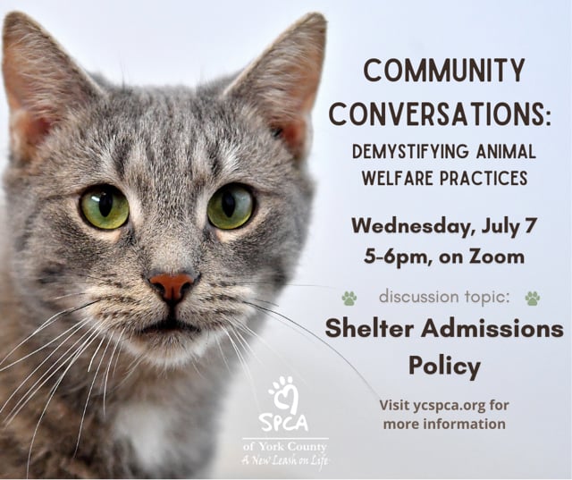 Shelter Admission Policy