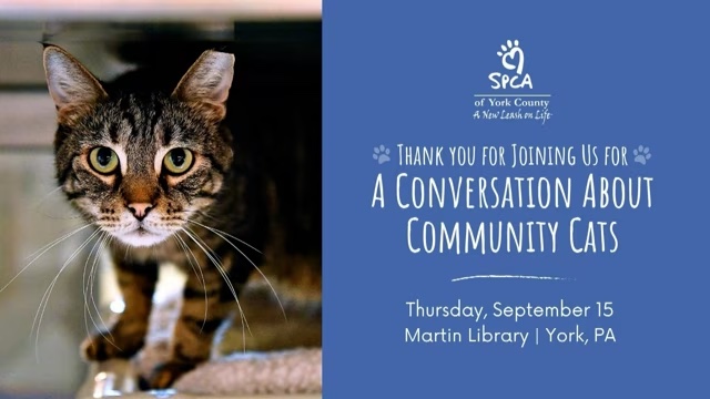 Saving Lives Through Innovative Policy: A Conversation About Community Cats