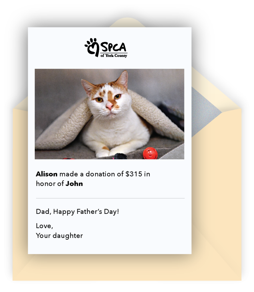 donation card@3x