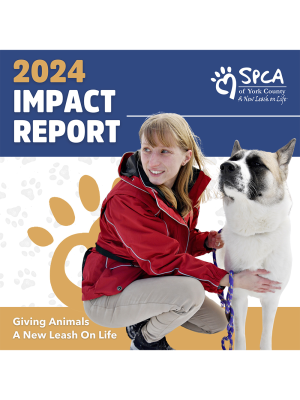 2024 Impact Report Final clear